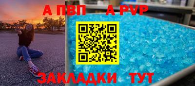 шишки Тверь