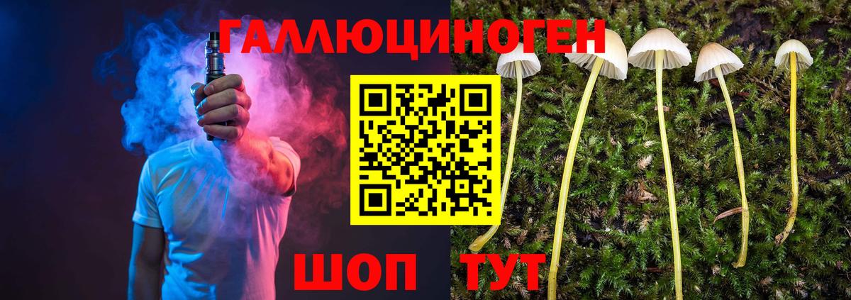 Псилоцибиновые грибы MAGIC MUSHROOMS  Вход с VPN  Владивосток  Галлюциногенные грибы мицелий 